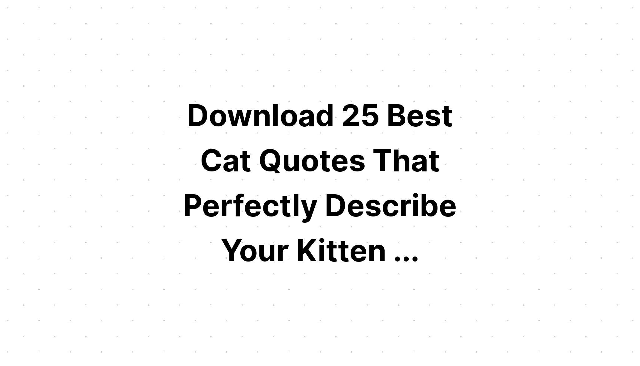 Download Cat Lover Cat Quotes SVG File